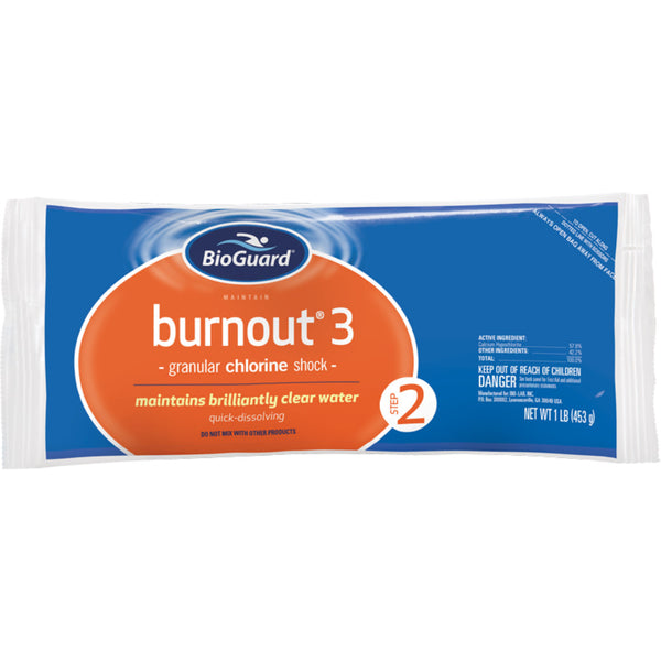 BurnOut 3